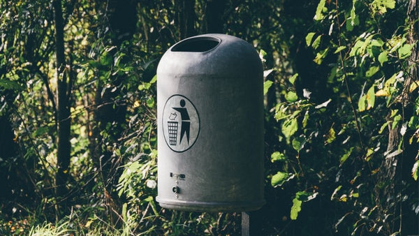 Poubelle recyclage nature extérieur arbres